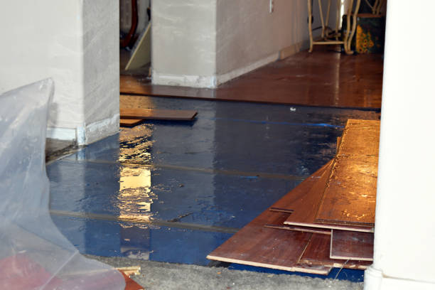 Professional Flood Damage Repair technician working in Ellis Grove, IL